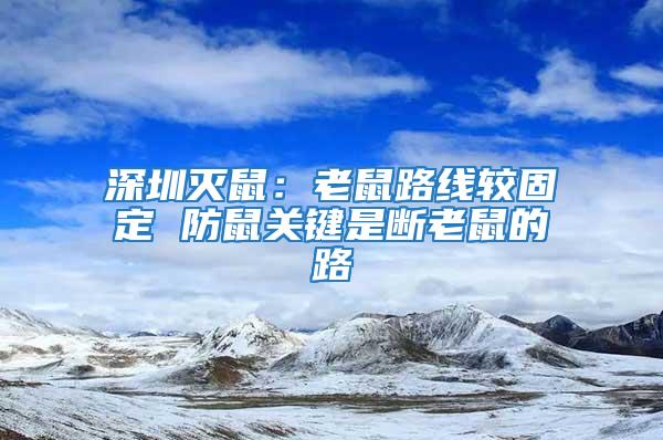 深圳滅鼠：老鼠路線較固定 防鼠關鍵是斷老鼠的路