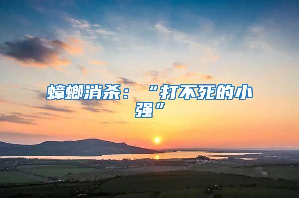 蟑螂消殺：“打不死的小強(qiáng)”