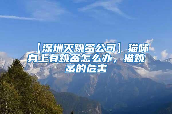 【深圳滅跳蚤公司】貓咪身上有跳蚤怎么辦，貓跳蚤的危害