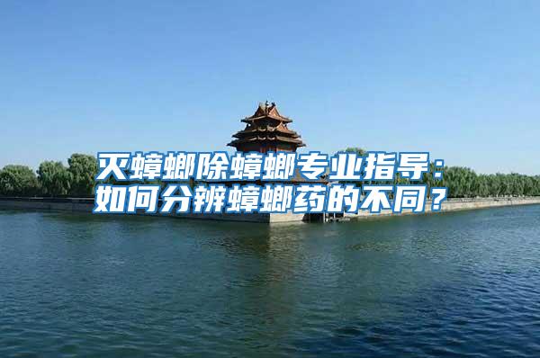 滅蟑螂除蟑螂專業(yè)指導(dǎo)：如何分辨蟑螂藥的不同？