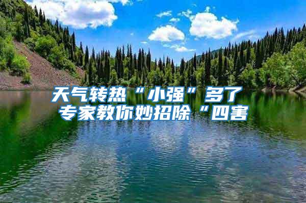 天氣轉熱“小強”多了 專家教你妙招除“四害