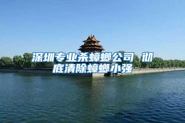 深圳專業殺蟑螂公司 徹底清除蟑螂小強