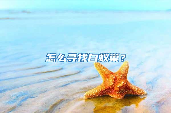 怎么尋找白蟻巢？