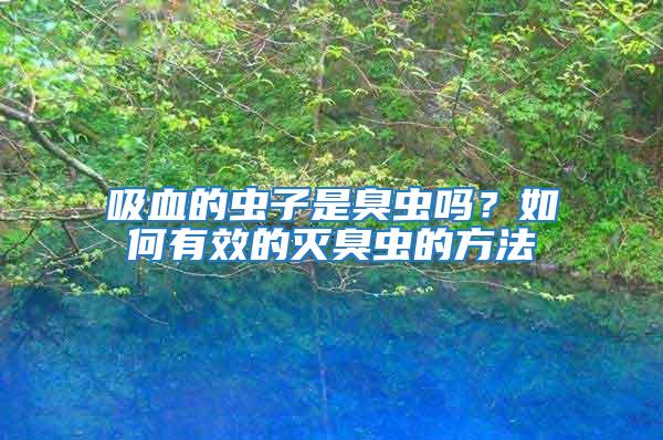 吸血的蟲子是臭蟲嗎？如何有效的滅臭蟲的方法