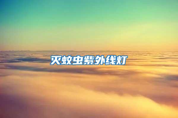滅蚊蟲紫外線燈