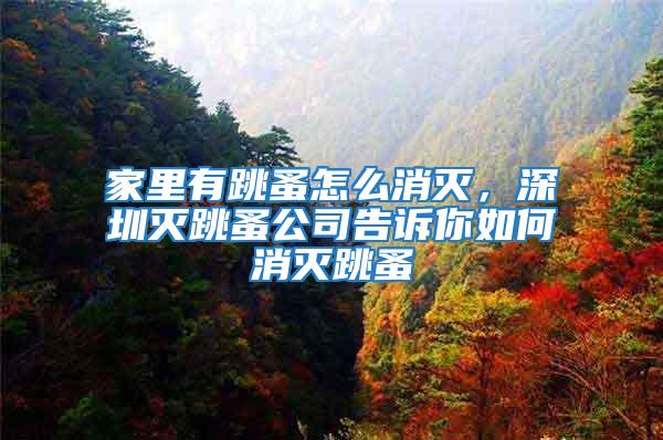 家里有跳蚤怎么消滅，深圳滅跳蚤公司告訴你如何消滅跳蚤