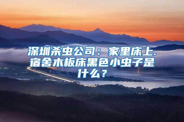 深圳殺蟲公司：家里床上.宿舍木板床黑色小蟲子是什么？