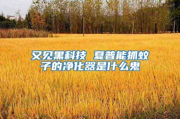 又見黑科技 夏普能抓蚊子的凈化器是什么鬼