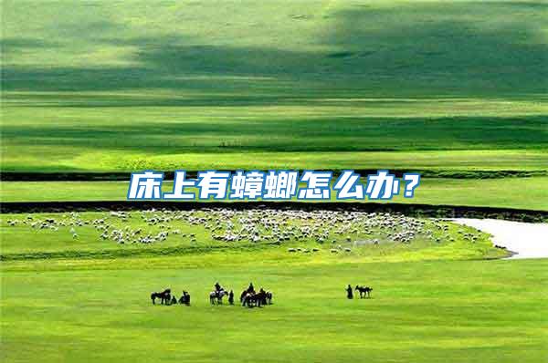 床上有蟑螂怎么辦？
