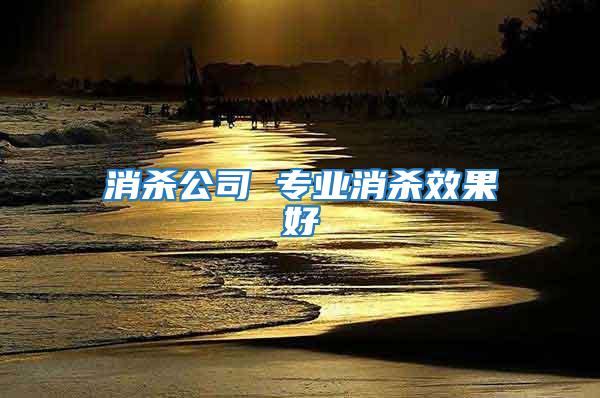 消殺公司 專業消殺效果好