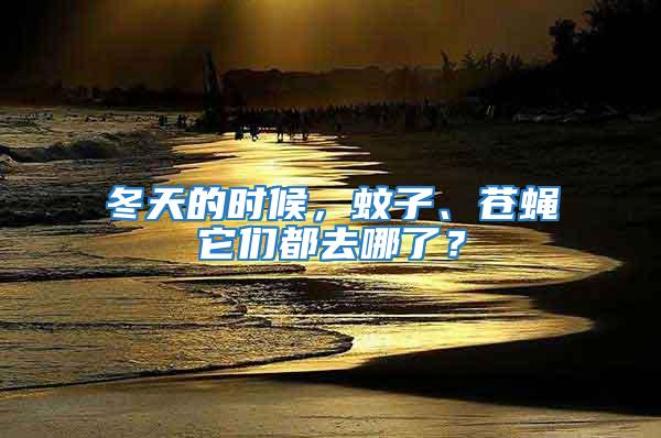 冬天的時候，蚊子、蒼蠅它們都去哪了？