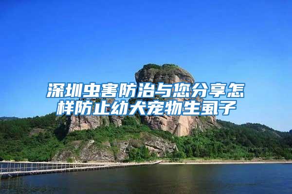 深圳蟲(chóng)害防治與您分享怎樣防止幼犬寵物生虱子
