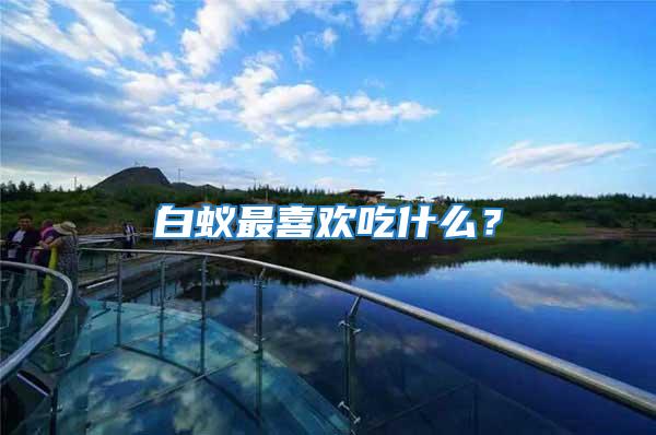 白蟻最喜歡吃什么？
