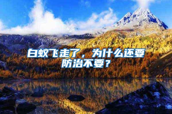 白蟻飛走了，為什么還要防治不要？