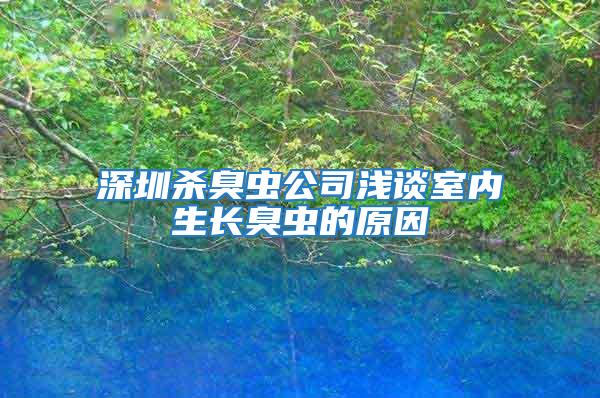 深圳殺臭蟲公司淺談室內生長臭蟲的原因