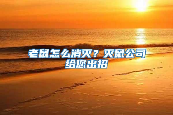 老鼠怎么消滅？滅鼠公司給您出招