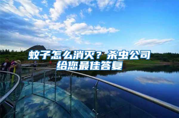 蚊子怎么消滅？殺蟲公司給您最佳答復