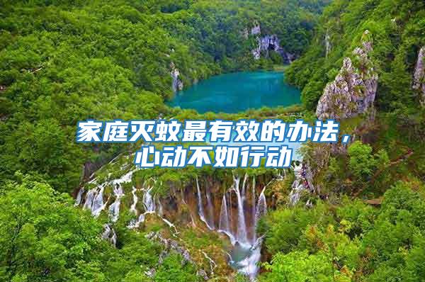 家庭滅蚊最有效的辦法，心動不如行動