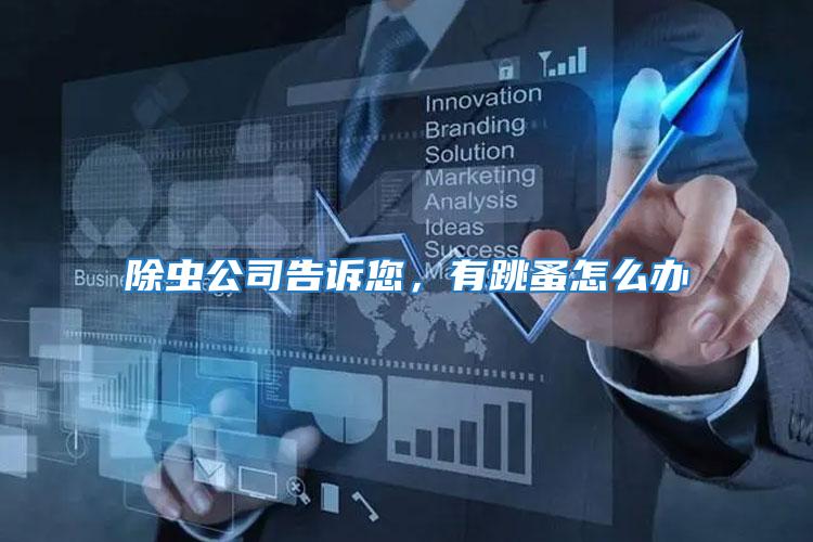 除蟲公司告訴您，有跳蚤怎么辦