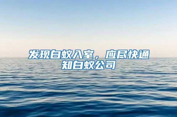 發現白蟻入室，應盡快通知白蟻公司
