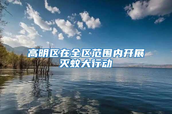 高明區在全區范圍內開展滅蚊大行動