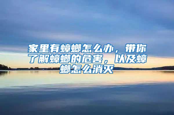 家里有蟑螂怎么辦，帶你了解蟑螂的危害，以及蟑螂怎么消滅