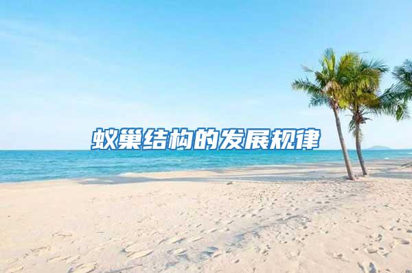 蟻巢結構的發展規律