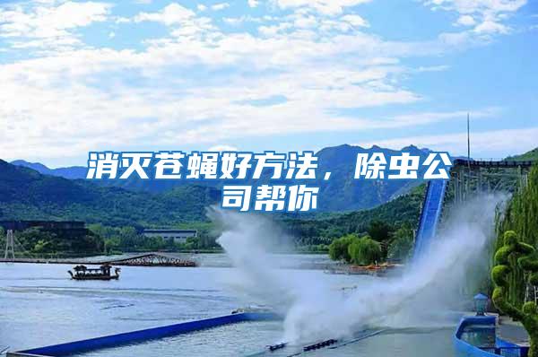 消滅蒼蠅好方法，除蟲公司幫你