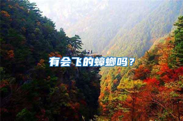 有會(huì)飛的蟑螂嗎？