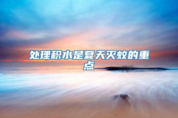 處理積水是夏天滅蚊的重點