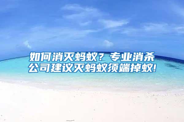 如何消滅螞蟻？專業消殺公司建議滅螞蟻須端掉蟻!