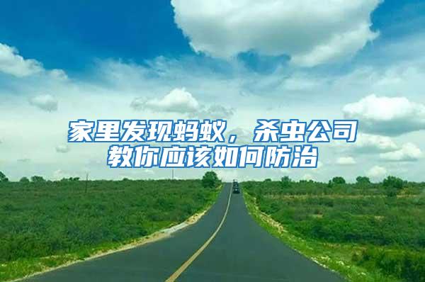 家里發現螞蟻，殺蟲公司教你應該如何防治