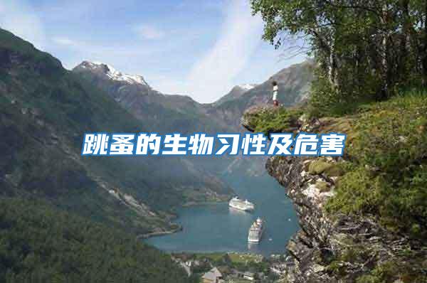 跳蚤的生物習(xí)性及危害
