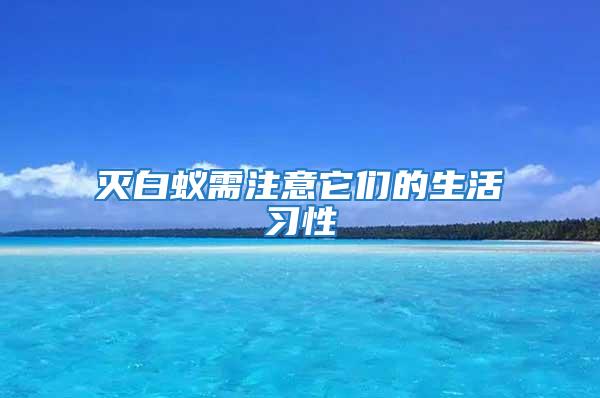 滅白蟻需注意它們的生活習性