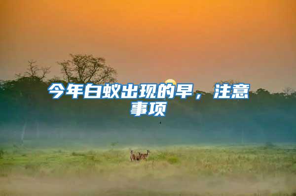 今年白蟻出現的早，注意事項