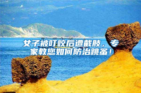 女子被叮咬后遭截肢，專家教您如何防治跳蚤！
