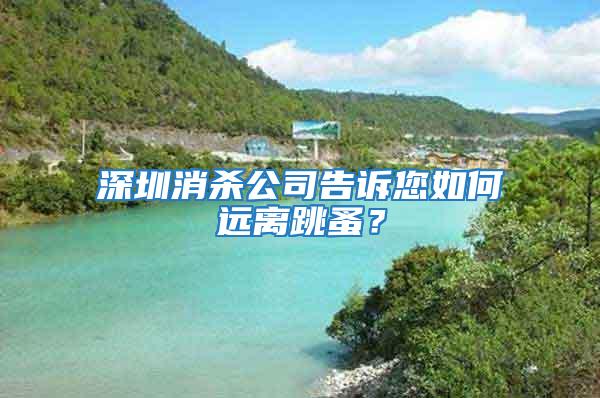 深圳消殺公司告訴您如何遠(yuǎn)離跳蚤？