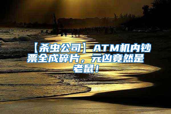 【殺蟲公司】ATM機內鈔票全成碎片，元兇竟然是老鼠！