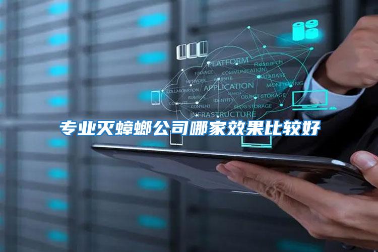 專業滅蟑螂公司哪家效果比較好