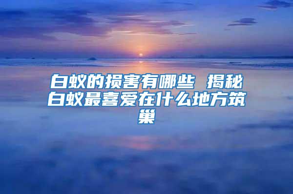白蟻的損害有哪些 揭秘白蟻最喜愛在什么地方筑巢