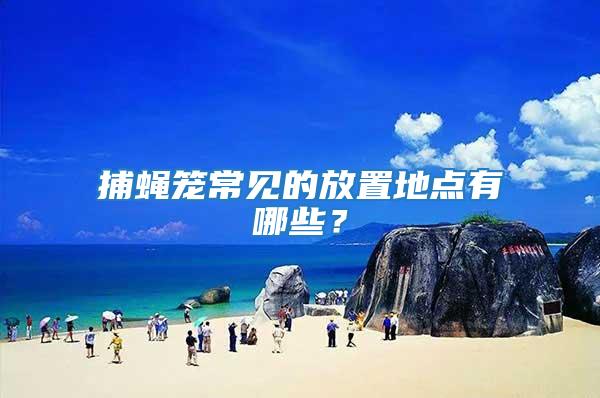 捕蠅籠常見的放置地點有哪些？