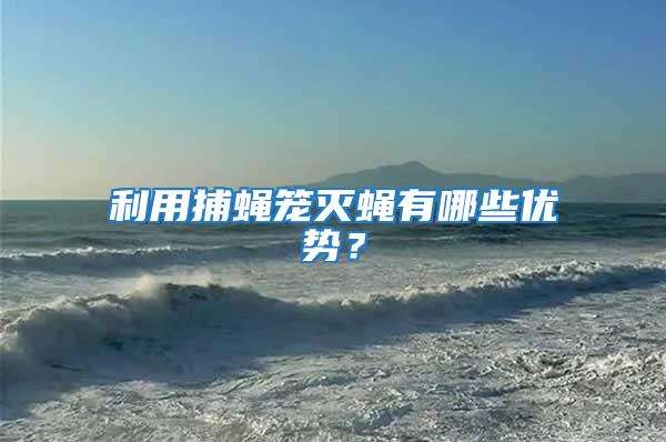 利用捕蠅籠滅蠅有哪些優(yōu)勢(shì)？
