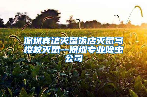 深圳賓館滅鼠飯店滅鼠寫樓校滅鼠--深圳專業除蟲公司