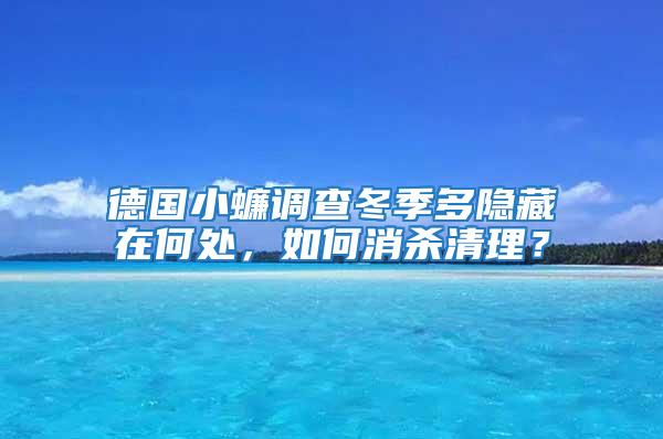 德國(guó)小蠊調(diào)查冬季多隱藏在何處，如何消殺清理？
