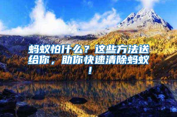 螞蟻怕什么？這些方法送給你，助你快速清除螞蟻！