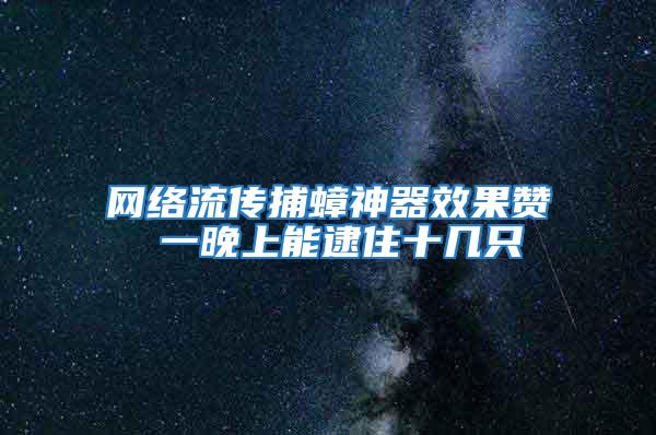 網絡流傳捕蟑神器效果贊 一晚上能逮住十幾只