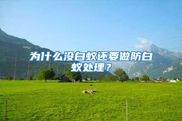 為什么沒白蟻還要做防白蟻處理？
