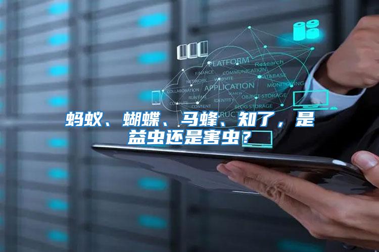 螞蟻、蝴蝶、馬蜂、知了，是益蟲還是害蟲？