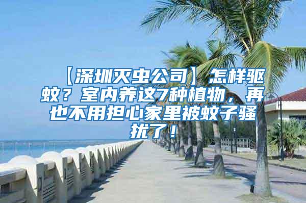 【深圳滅蟲公司】怎樣驅(qū)蚊？室內(nèi)養(yǎng)這7種植物，再也不用擔(dān)心家里被蚊子騷擾了！