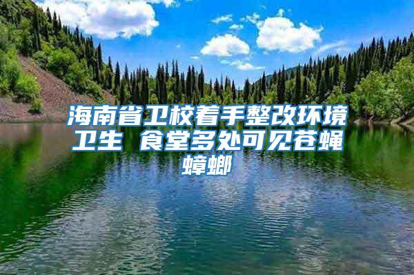 海南省衛校著手整改環境衛生 食堂多處可見蒼蠅蟑螂